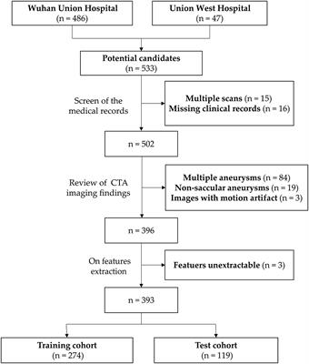 CT Angiography-Based Radiomics for Classification of Intracranial Aneurysm Rupture